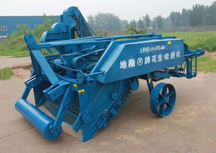 聚焦秦皇岛 探访规模领先的YH花生收获机与王艳蕊的个体农业机械事业