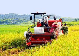 政策稳定护航粮食安全 2016年小麦最低收购价保持2015年水平不变，农业机械发展迎来新机遇